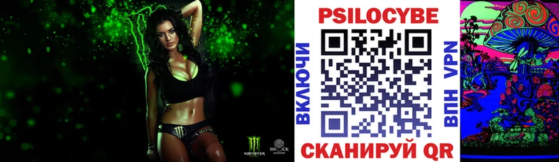 наркошоп  Юрга  Псилоцибиновые грибы Psilocybine cubensis 